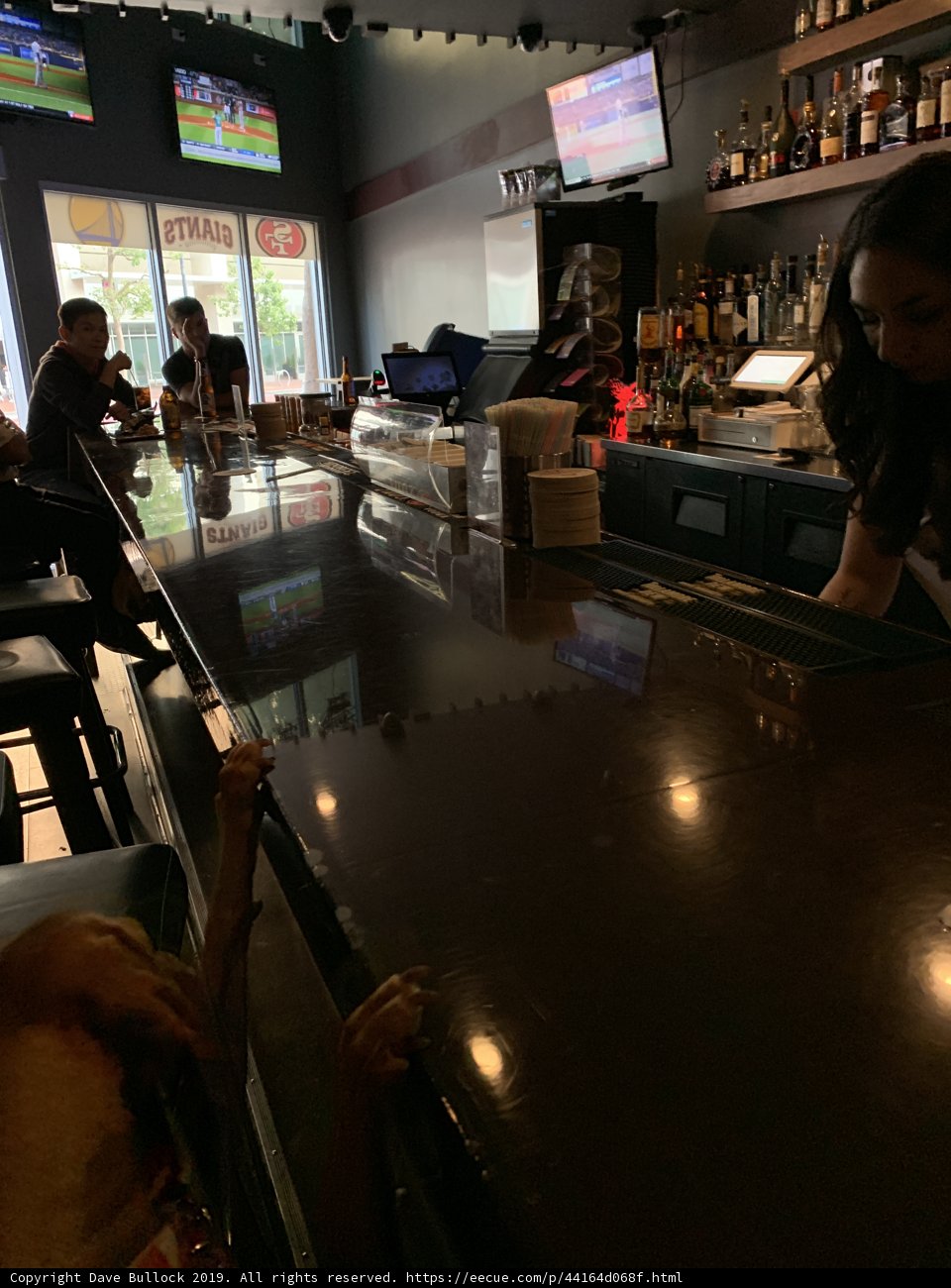 Canine Companions at the Bar