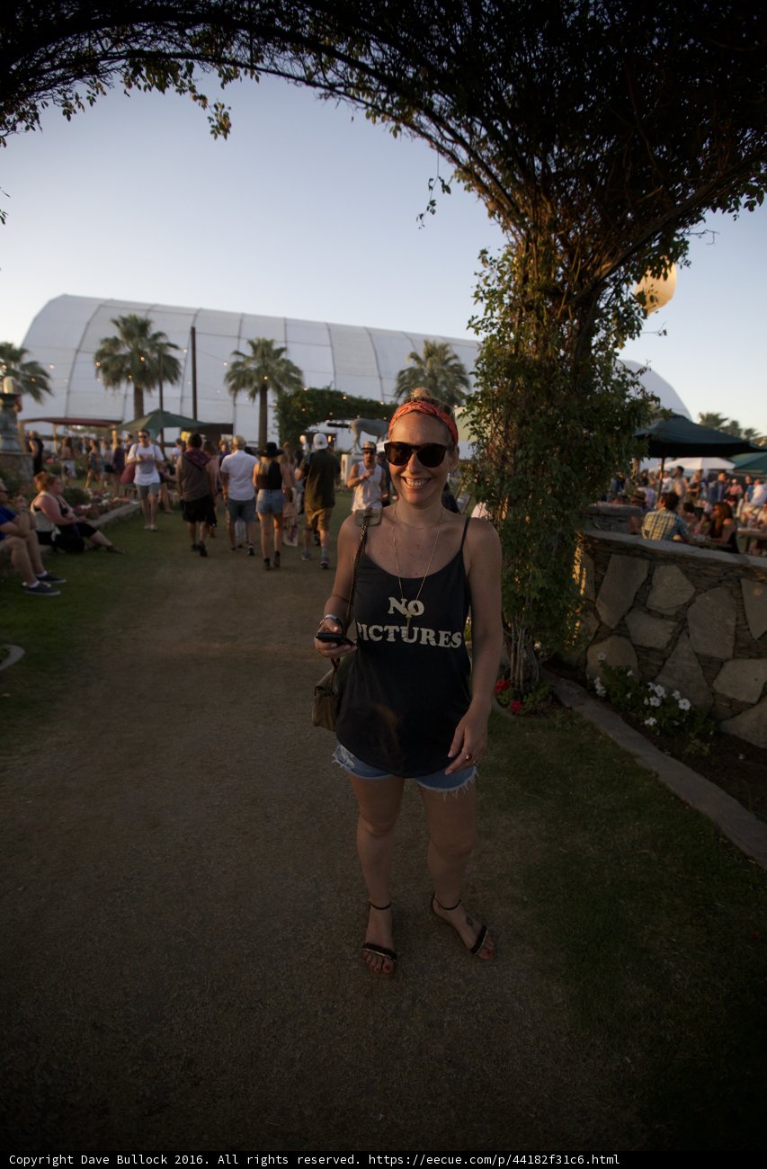 Sunny Day at Coachella