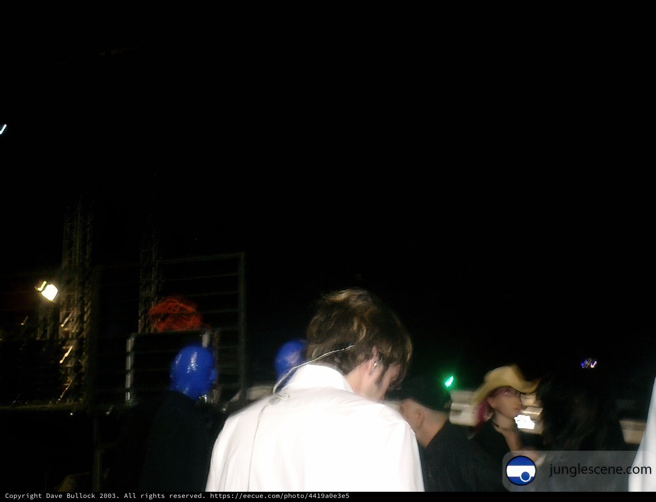 Nighttime Gathering