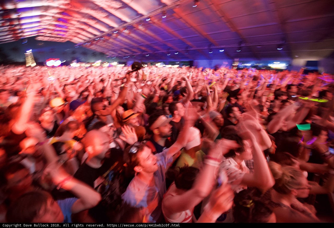 Coachella Nights