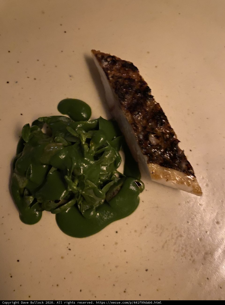 Salmon with Spicy Green Sauce