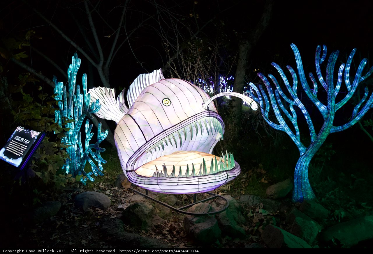 Luminescent Sea Life: An Artful Night at the Oakland Zoo