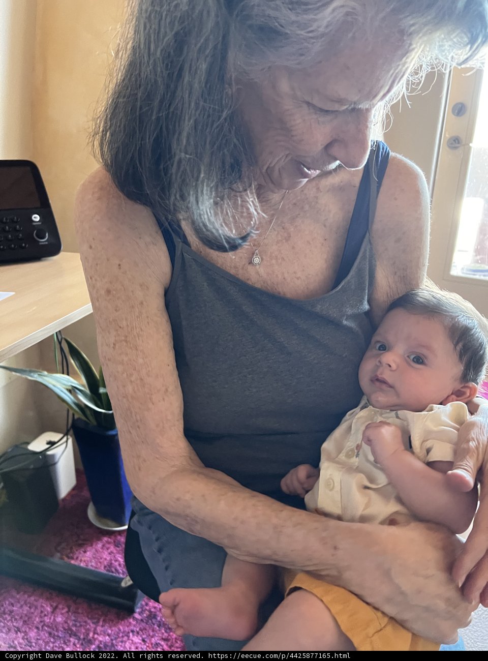 A Grandmother's Love