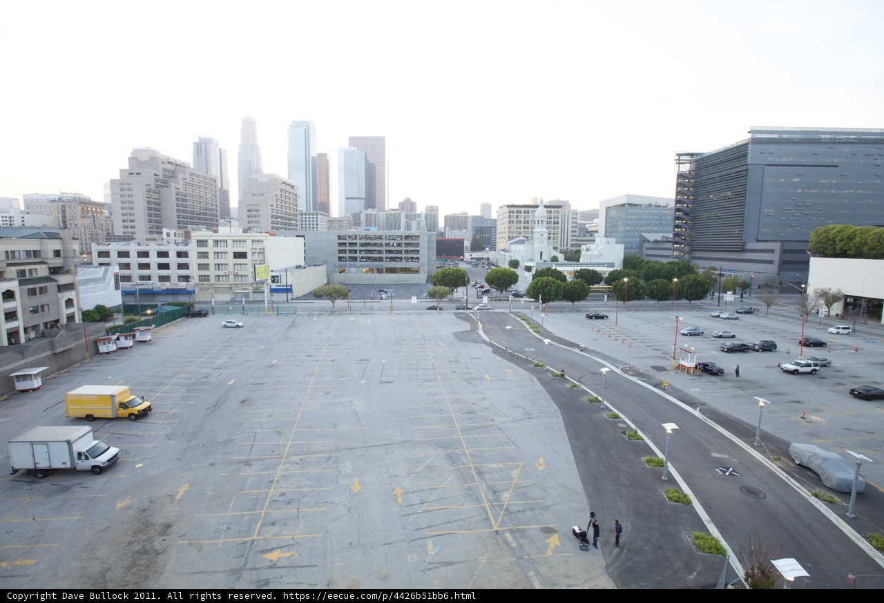 Urban Jungle Parking Lot