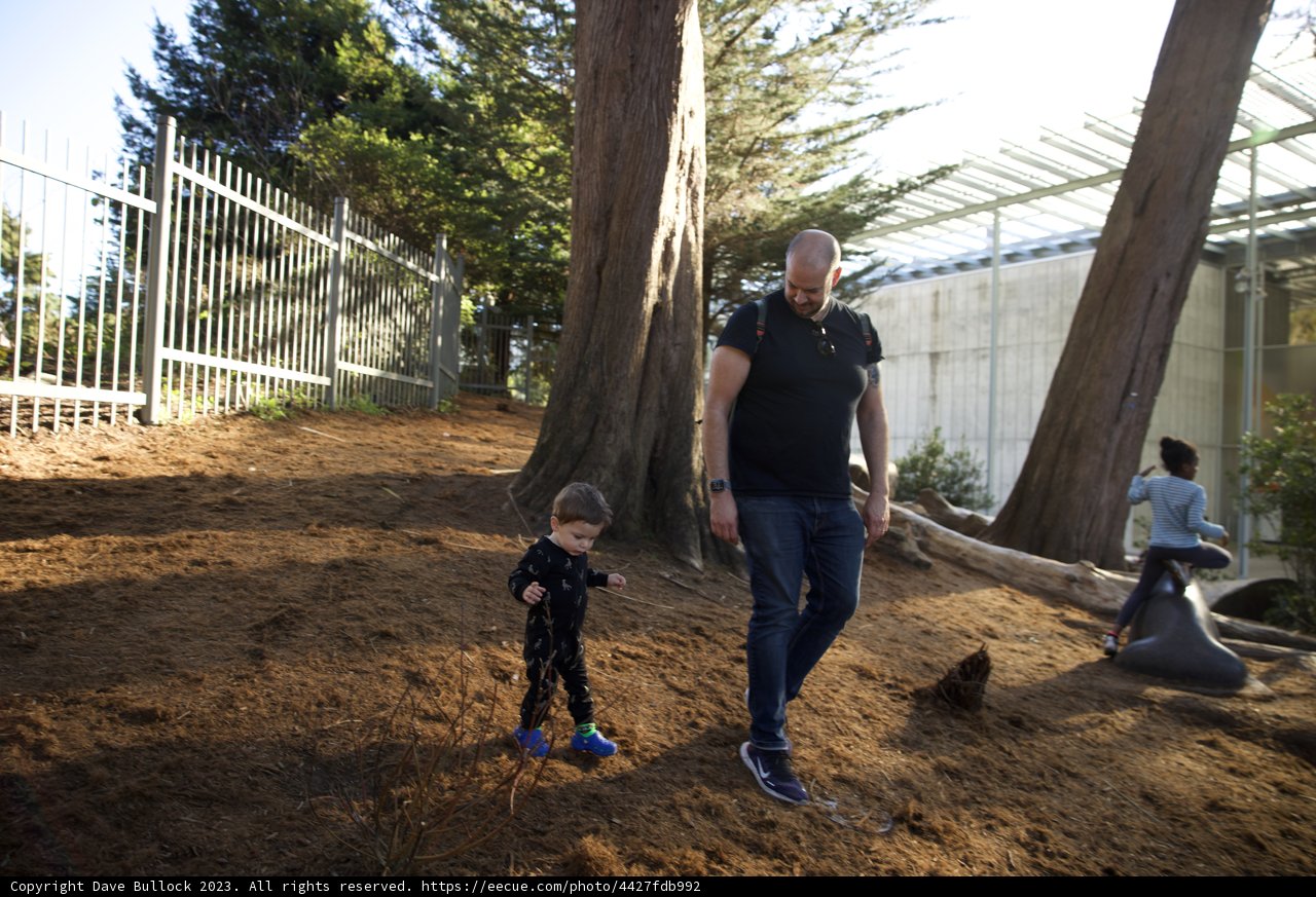 A Stroll Through Nature