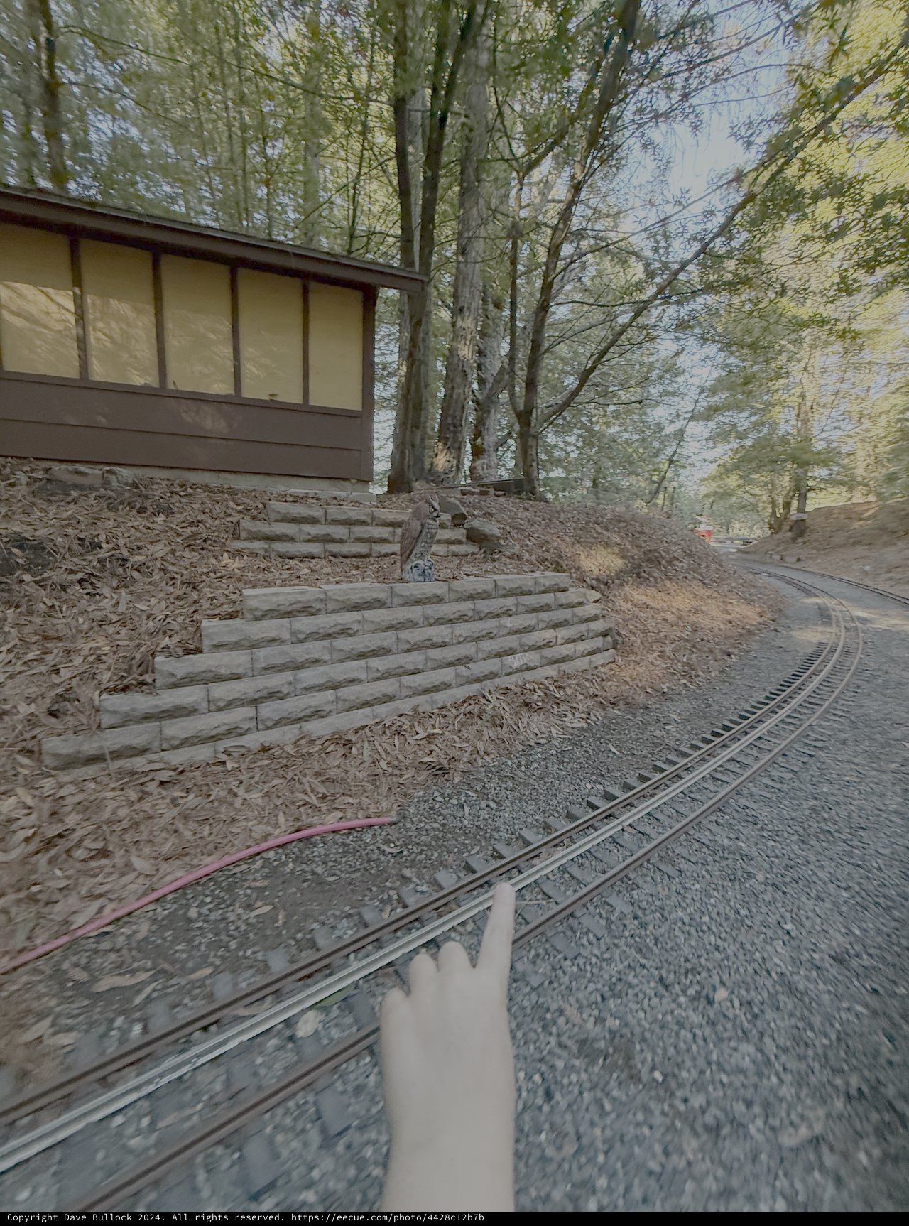 Model Train Journey Through Wooded Garden Railway
