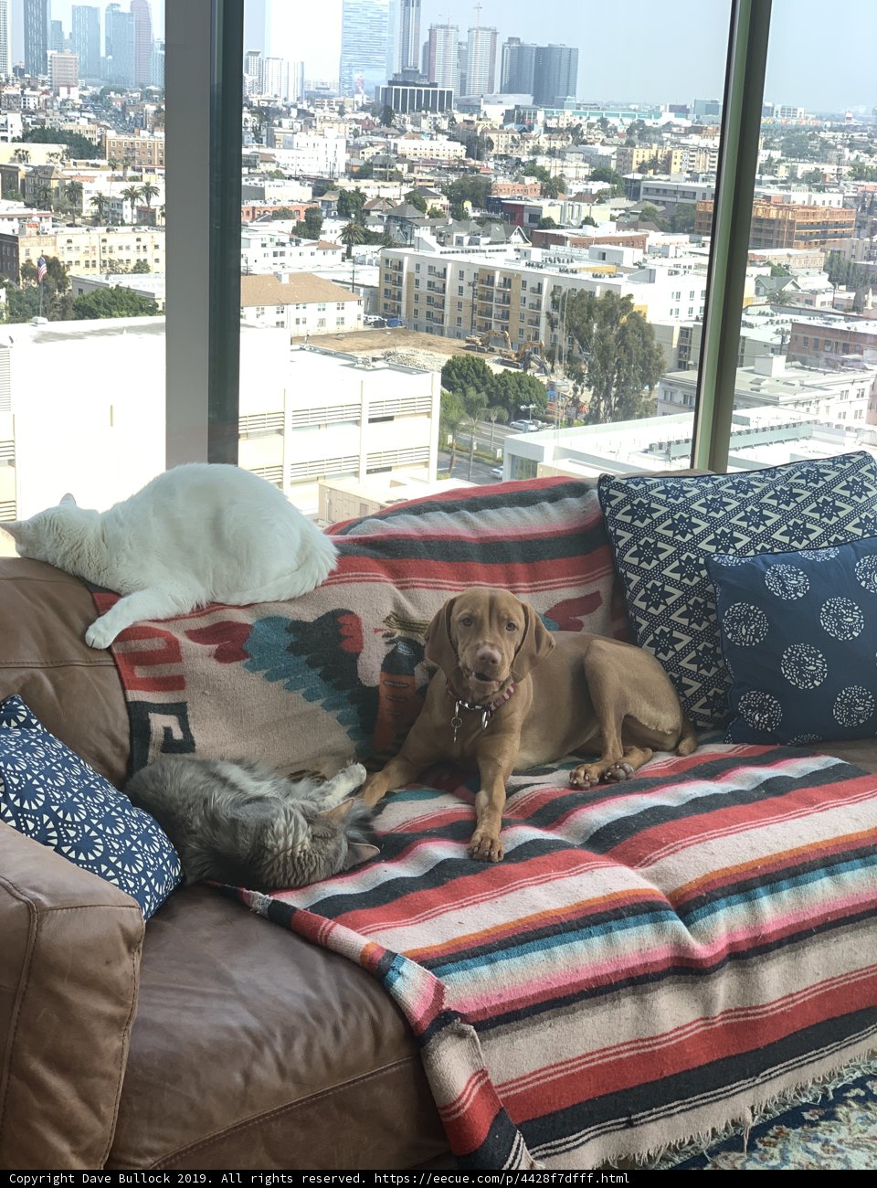 Urban Comfort
