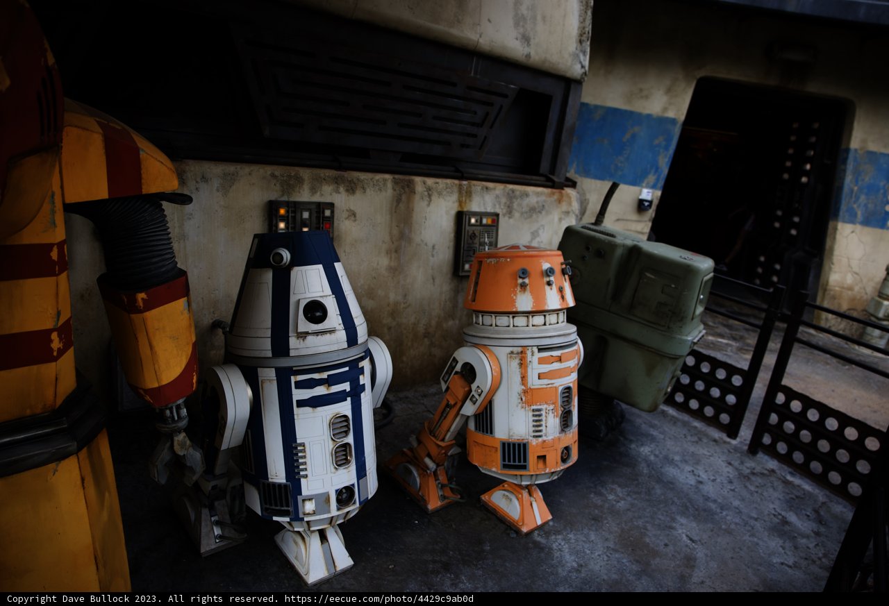 Galactic Adventures in Disneyland