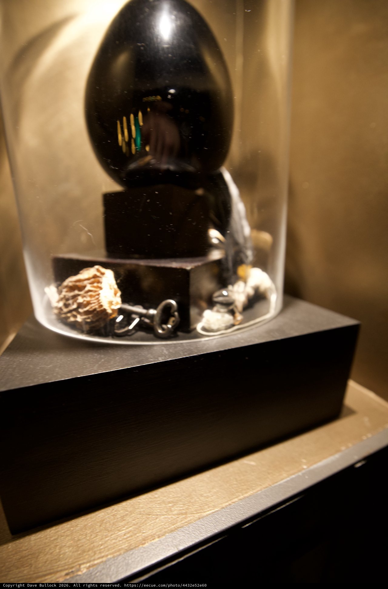 Black Egg Sculpture Display with Crystal Base