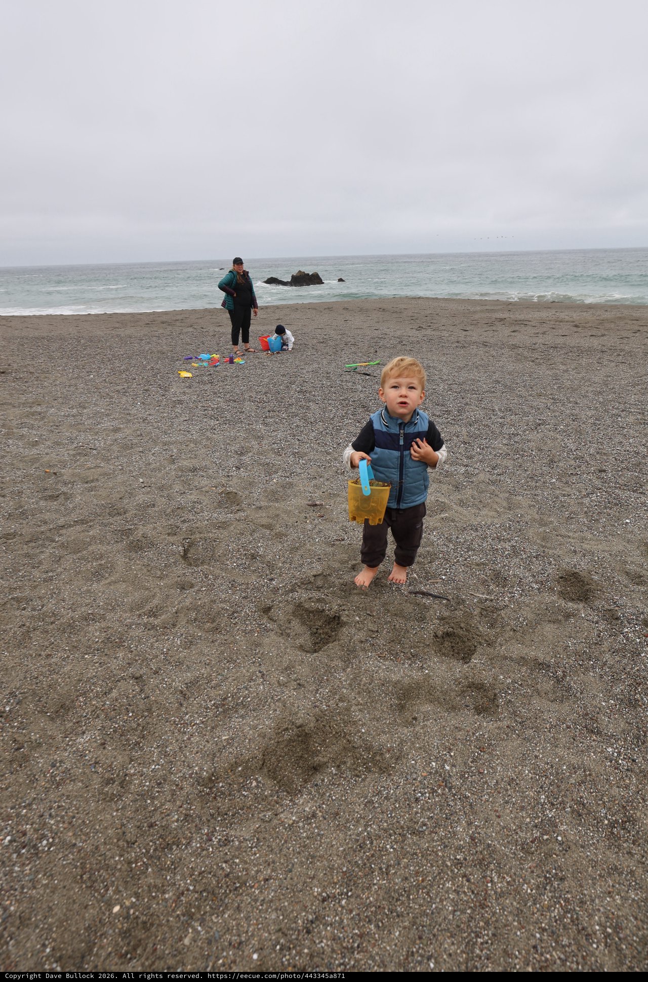 Toddler Explores Foggy Pacific Coast Beach