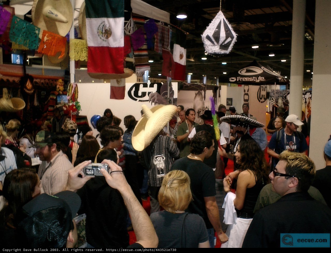 Convention Crowd with Flags and Hats