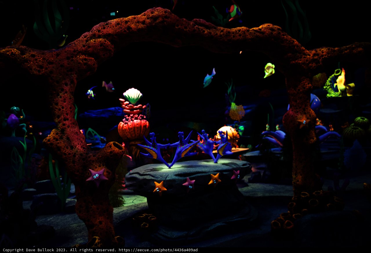 Magical Underwater Encounter at Disneyland
