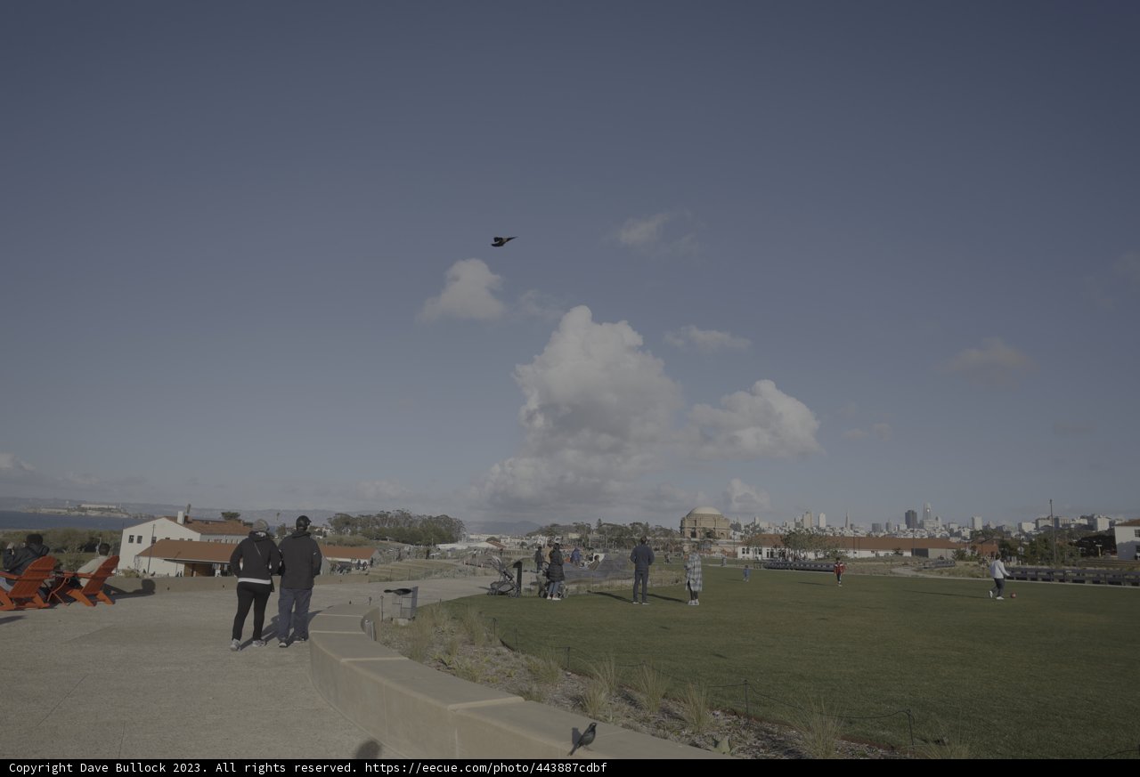 Gathering at the Airfield
