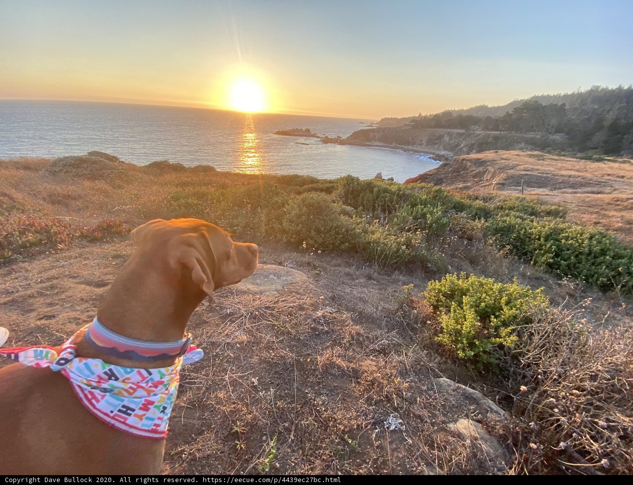Sunset serenade