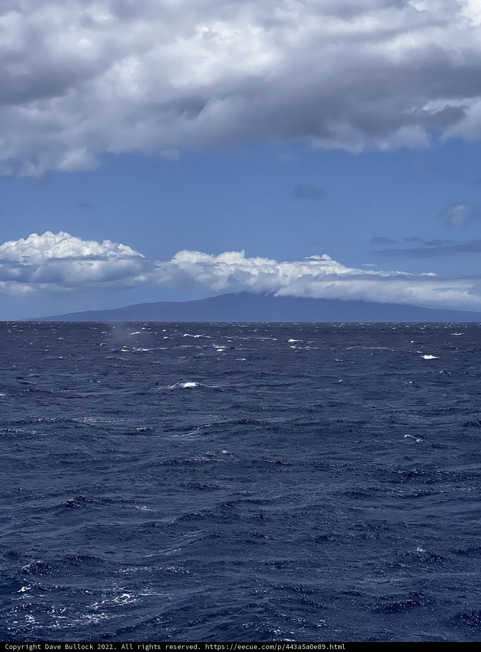 Majestic Mountains Meet Ocean Blue