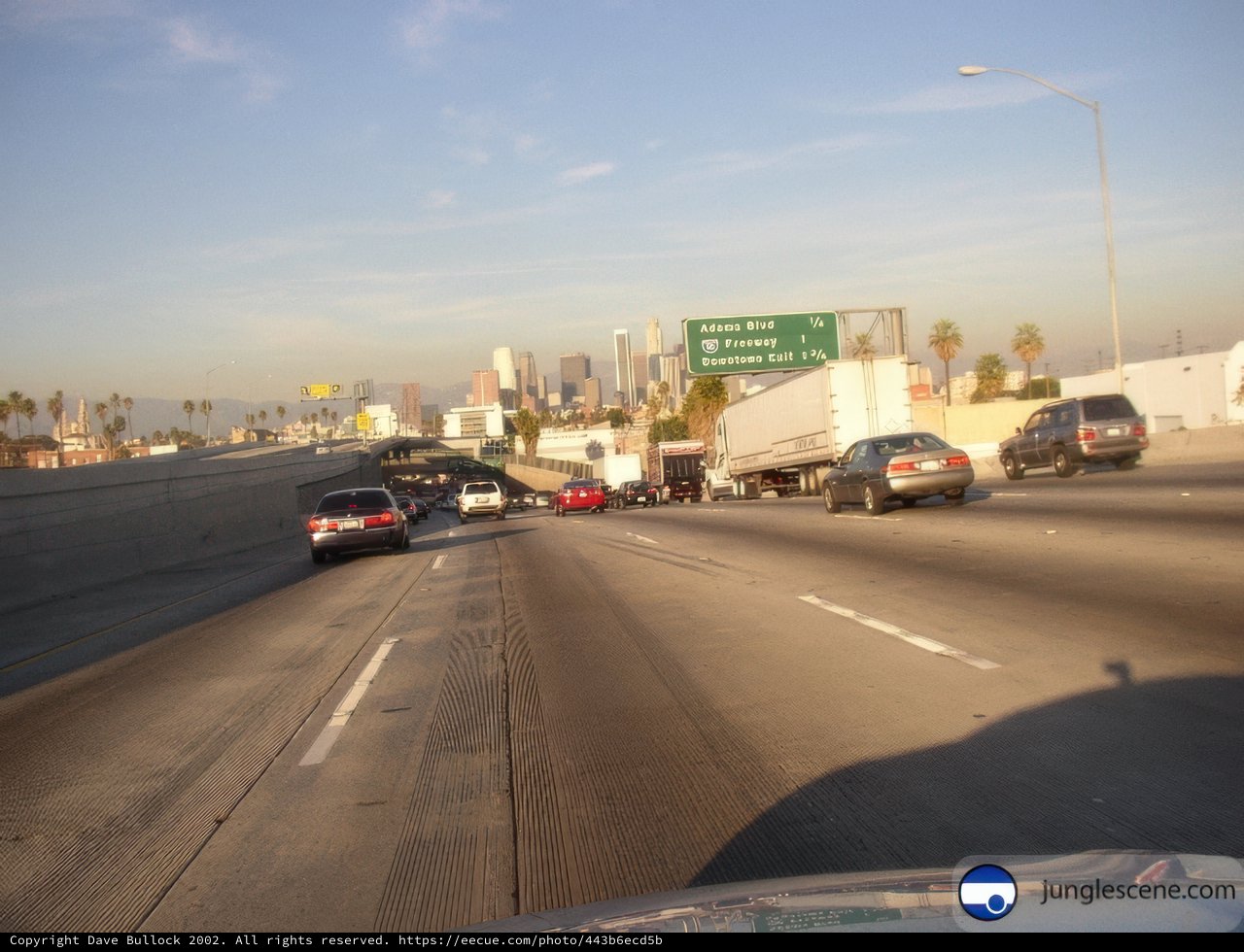 Road Trip on the Freeway