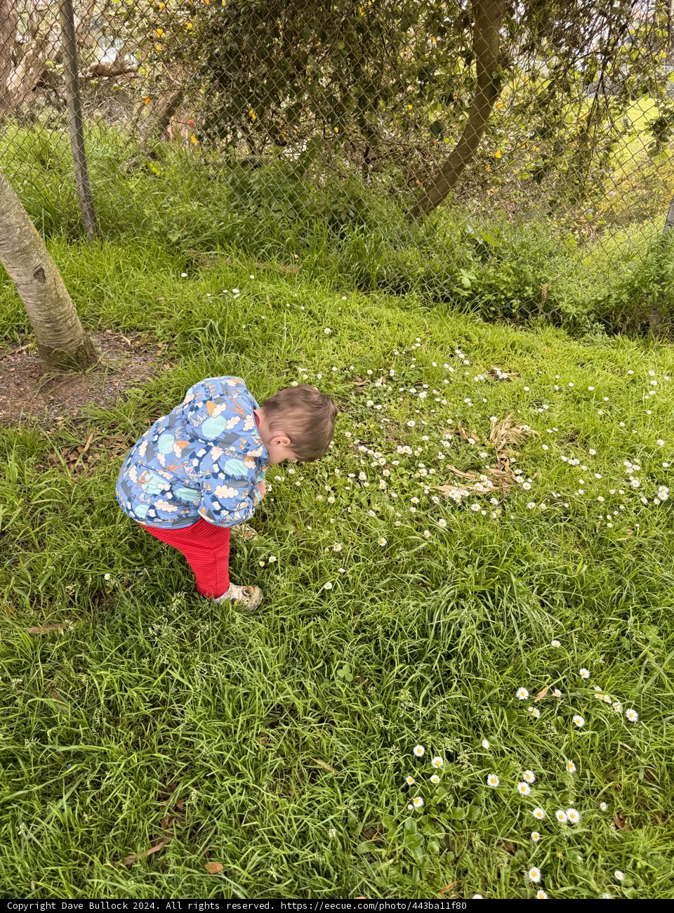 Springtime Explorations