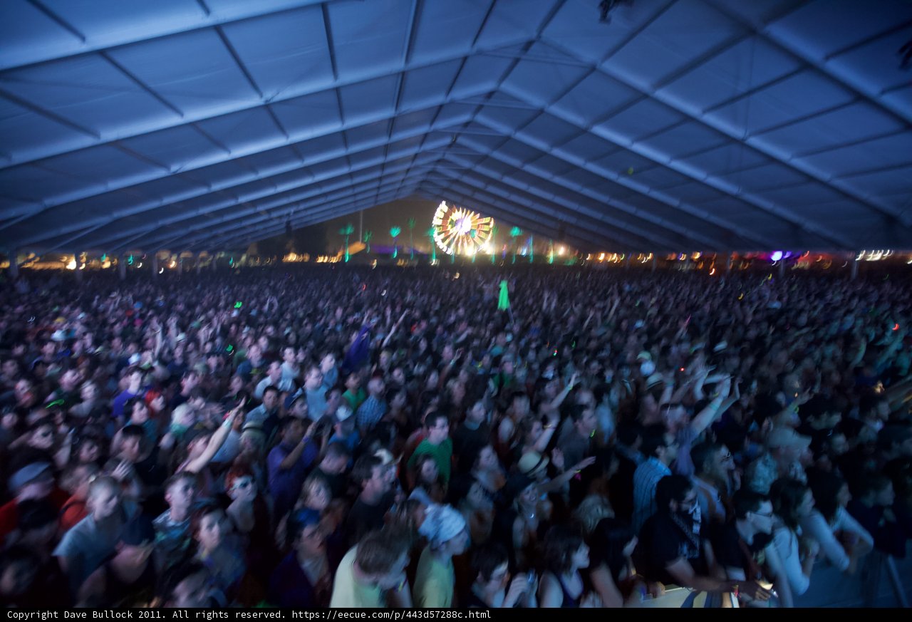 The Electric Crowd