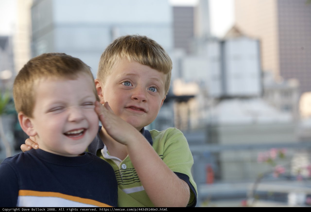 Happy Boys