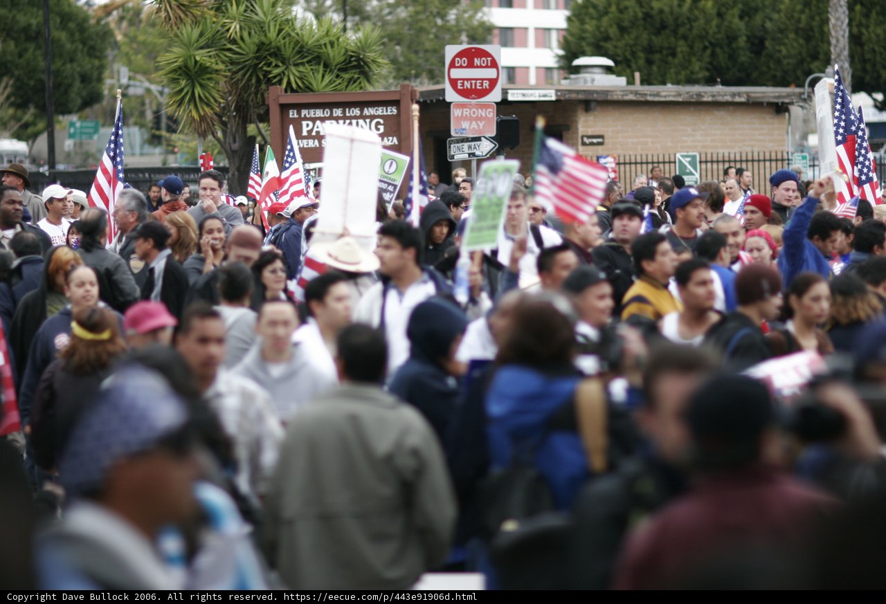 Patriotic Crowd at a Rally