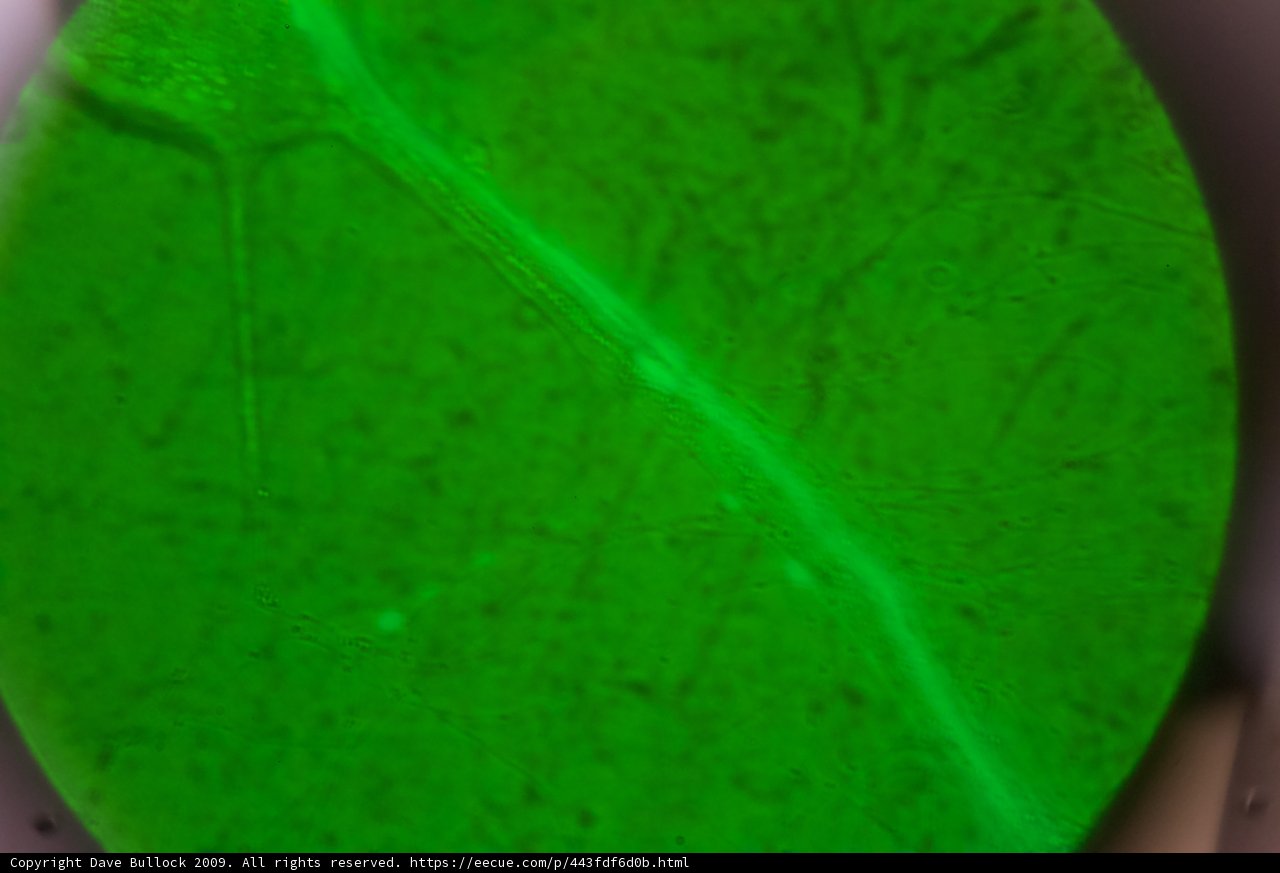 Radiant Green Gemstone Leaf