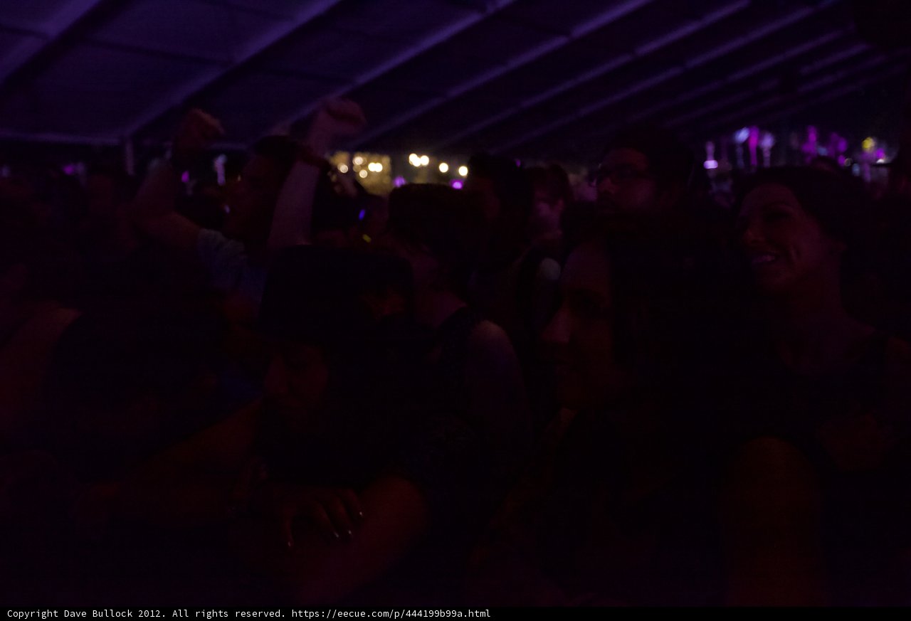 Purple Haze at Coachella