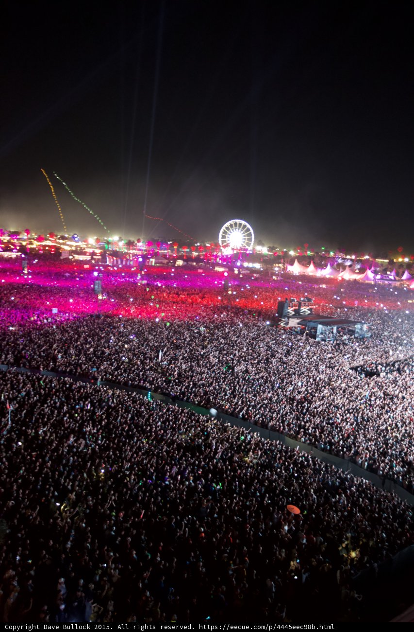 Concert Under the Night Sky