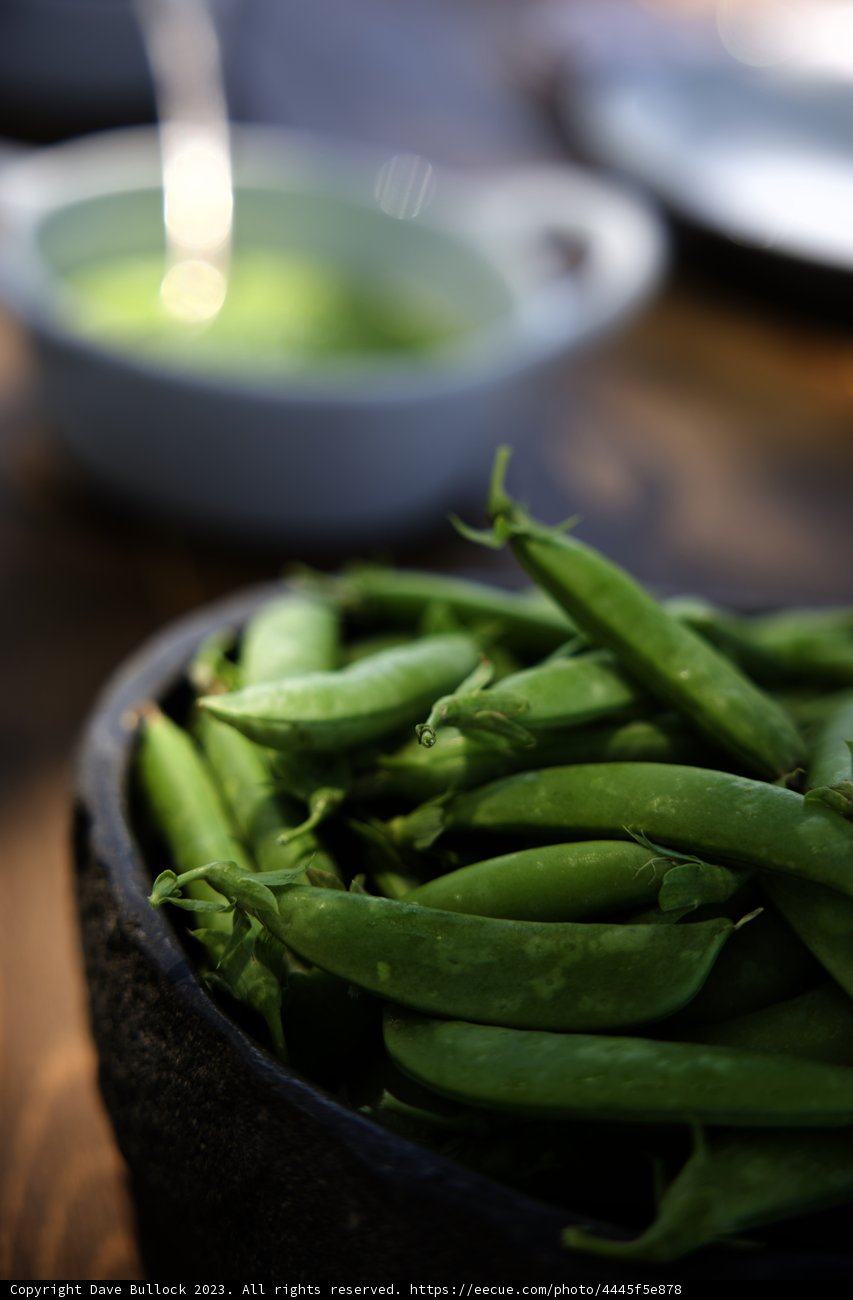 Freshly Harvested Green Peas
