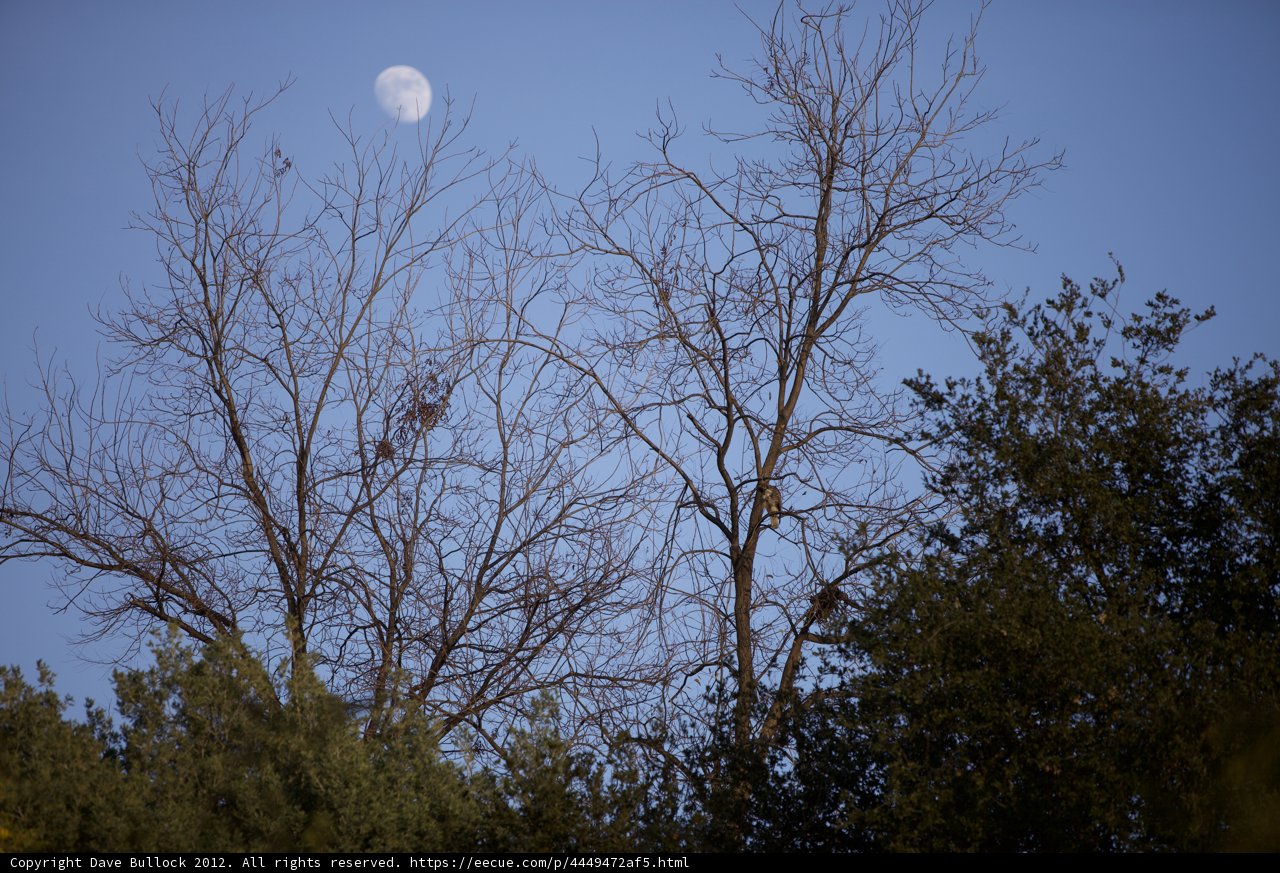 Lunar Glimpse