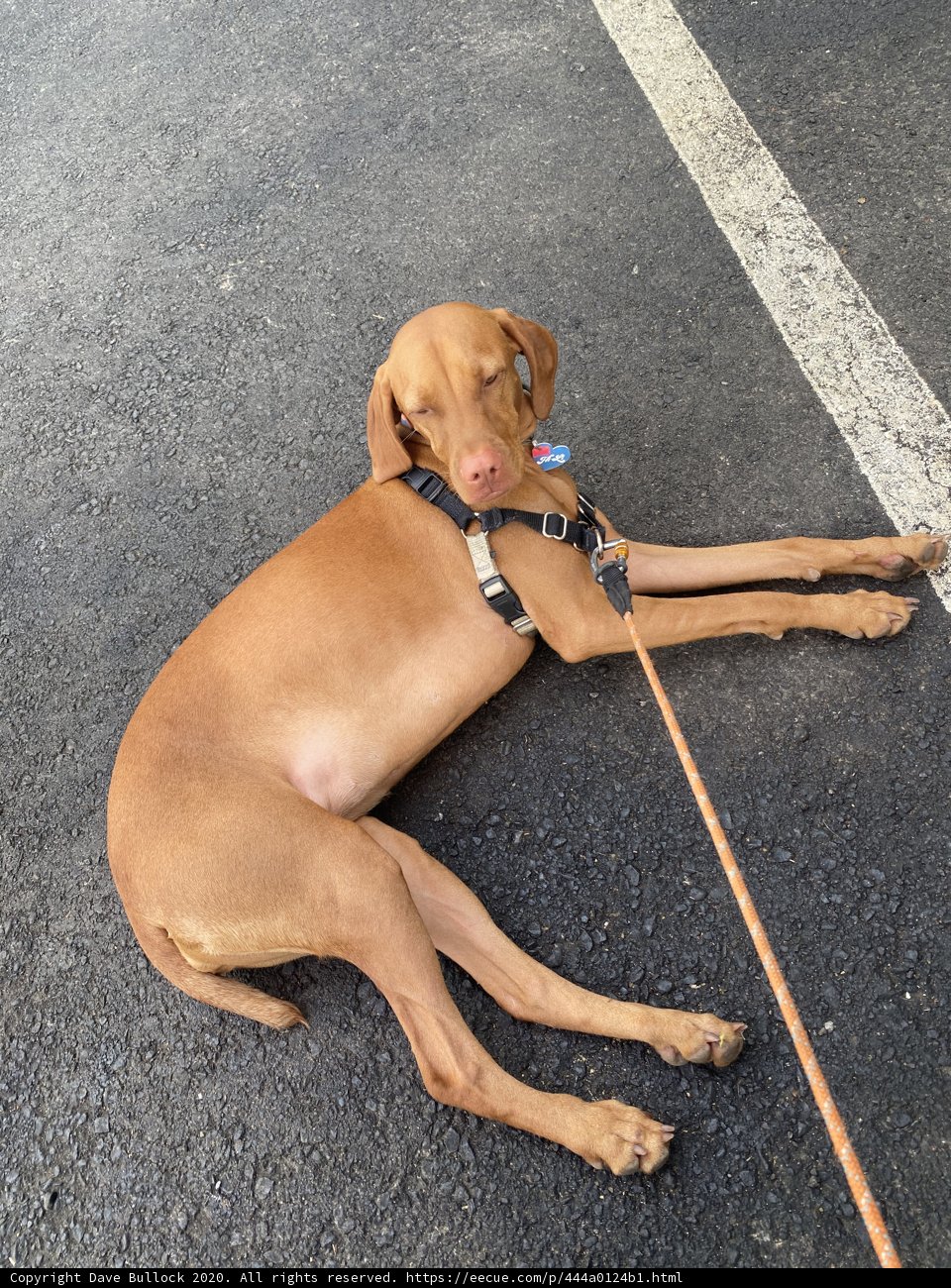 Relaxing on the Road