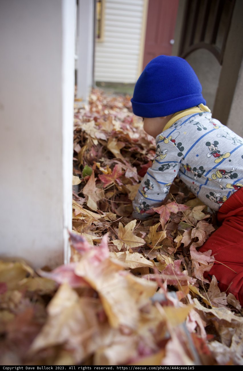 Fall Frolic in Downtown Sonoma, 2023