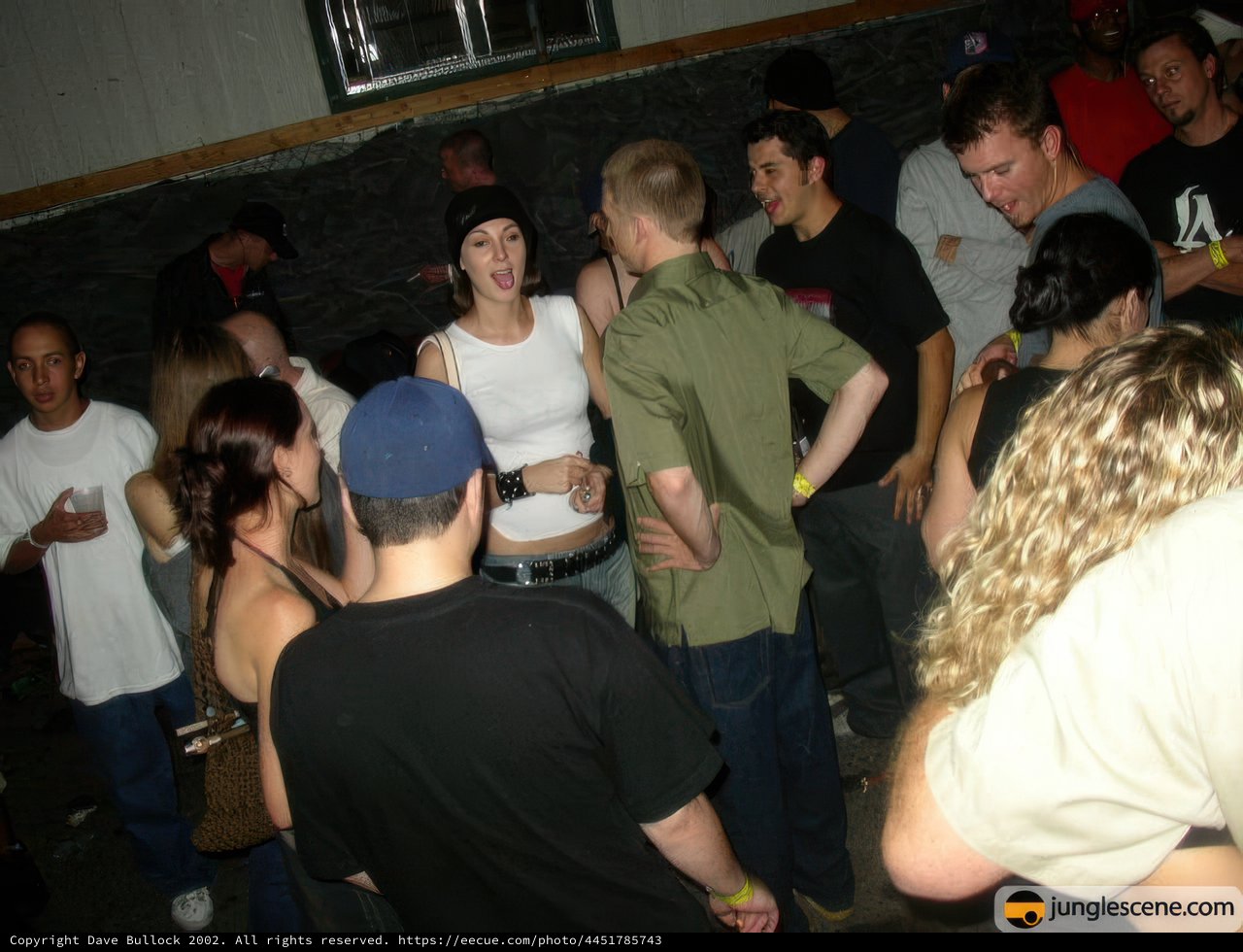 Nightclub Crowd
