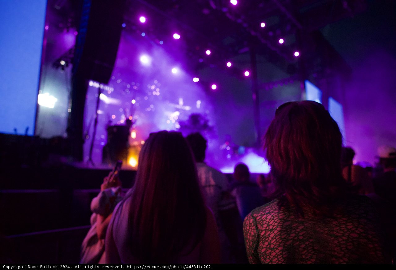 Vibrant Nights: A Glimpse of Coachella 2024