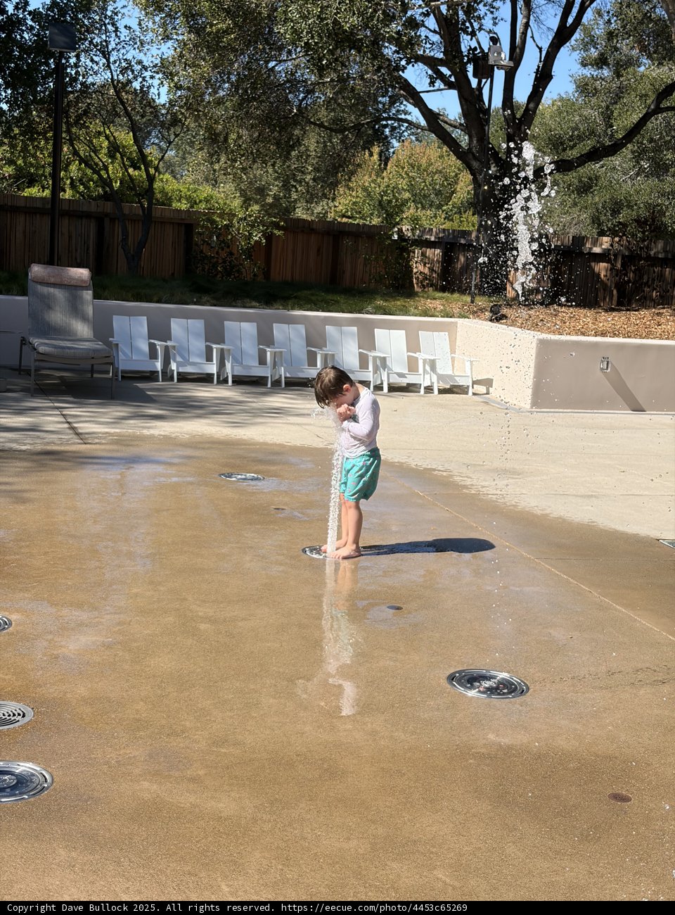 Splash of Joy