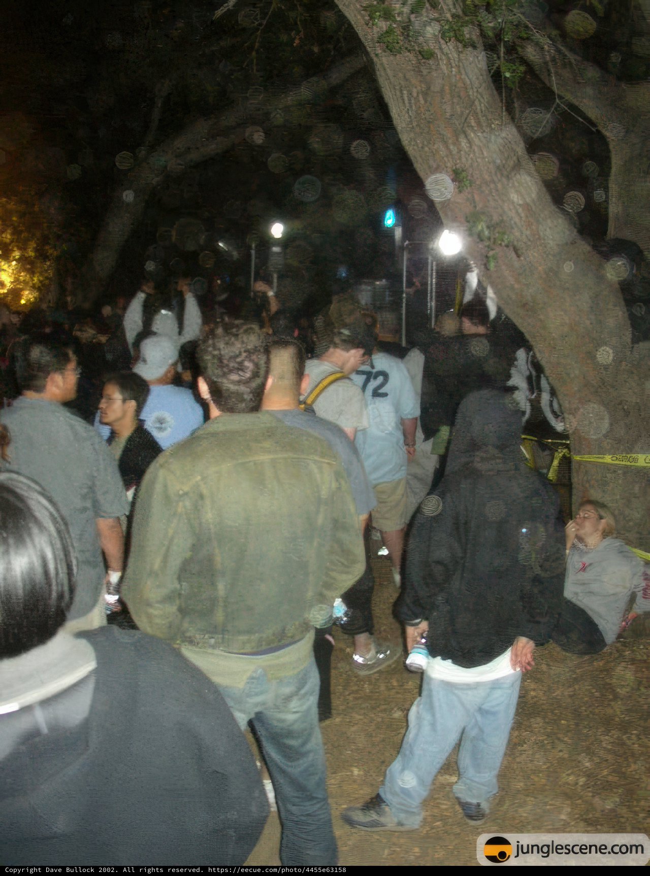 Nighttime Gathering around the Tree