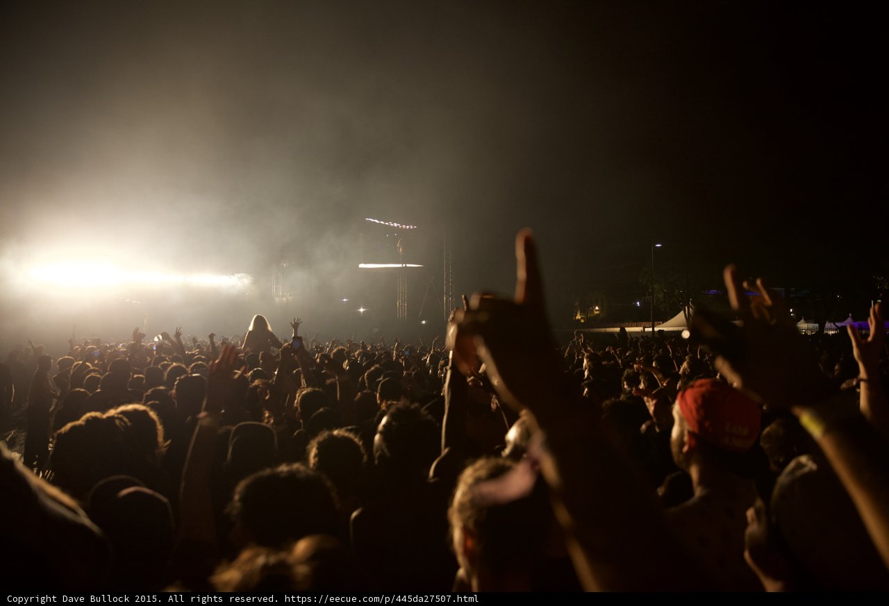 Shoulders in Crowd