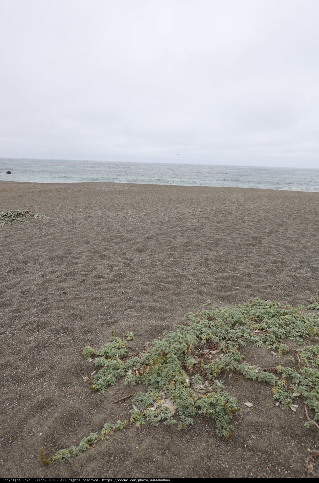 Overcast Solitude on a Dark Sand Beach
