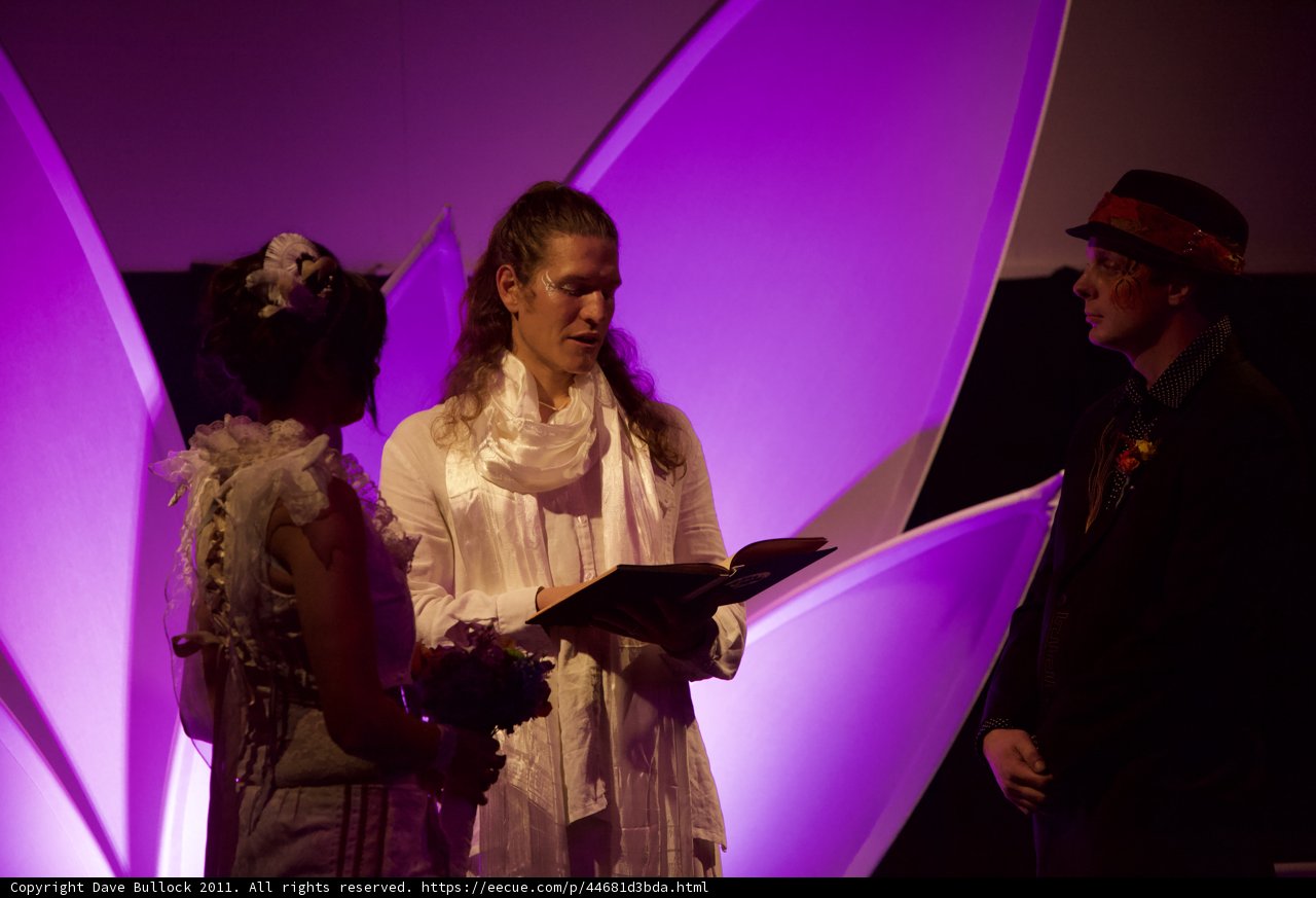 Purple Spotlight
