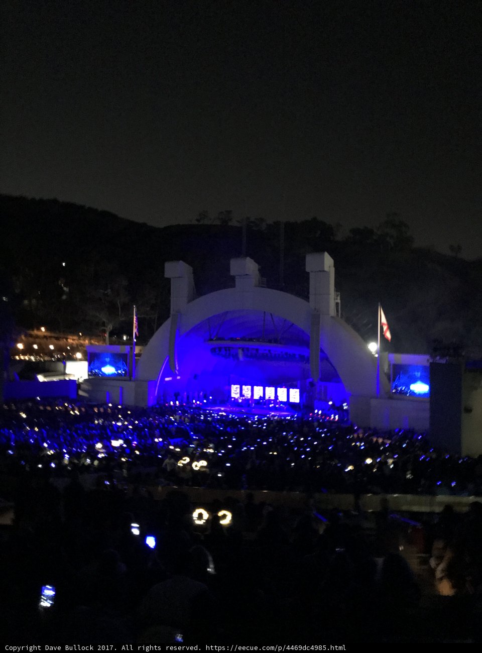 Blue-Lit Explosion: A Vibrant Concert Crowd