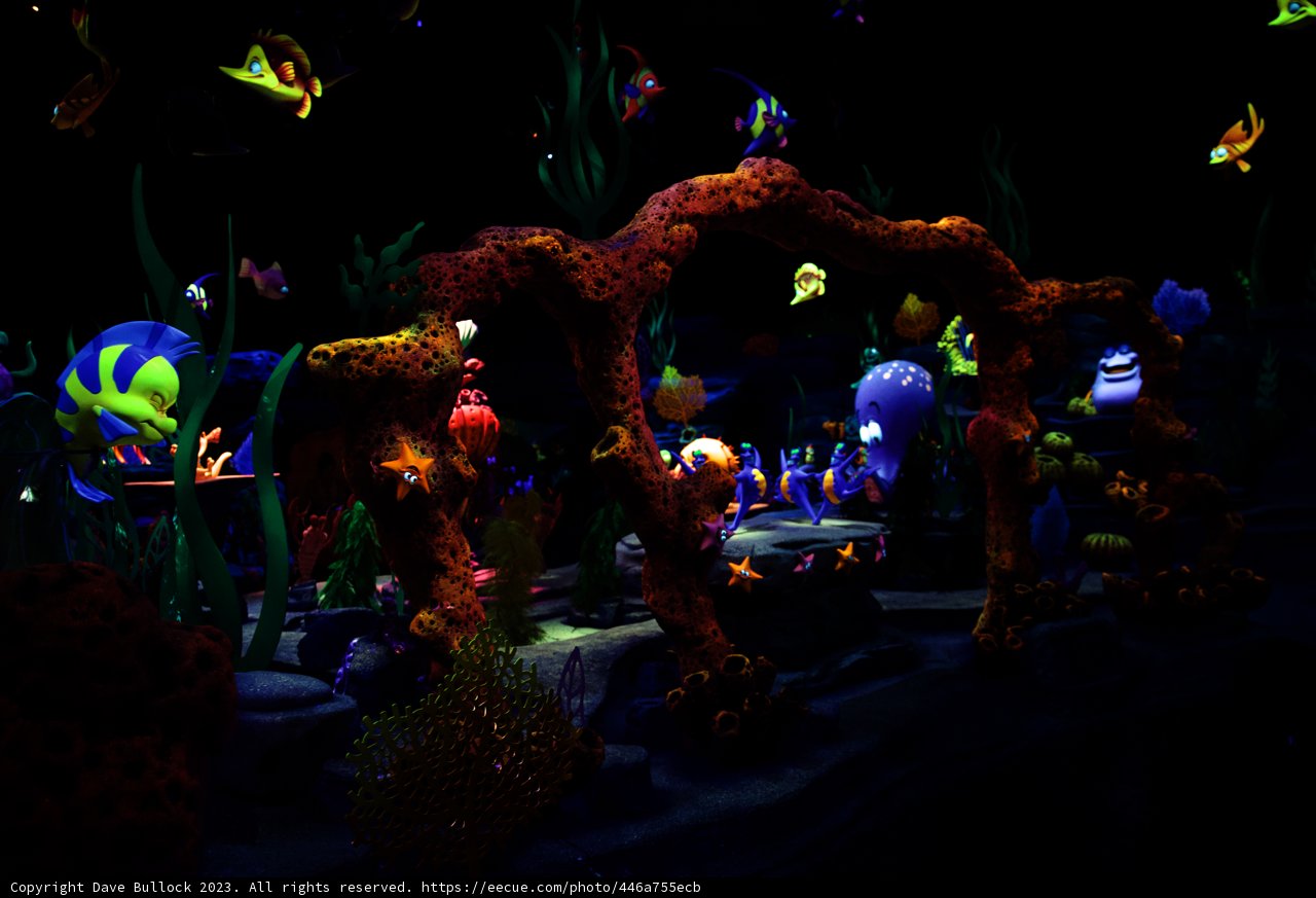 Magical Aquarium Adventure at Disneyland