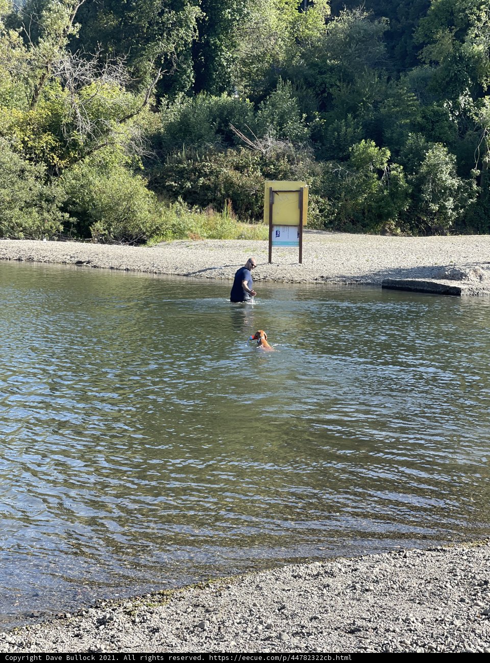 Splashing through Summer at Monte Rio Beach