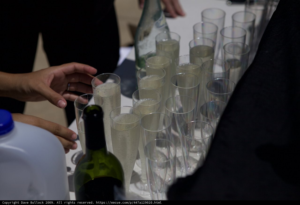 Wine Glasses Galore