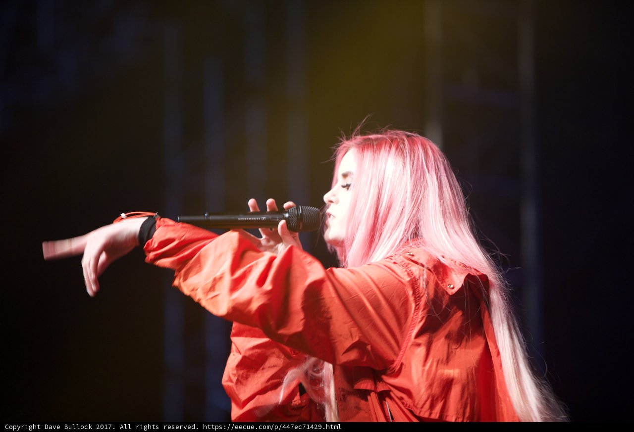 Pink Haired Performer Shines on Coachella Stage