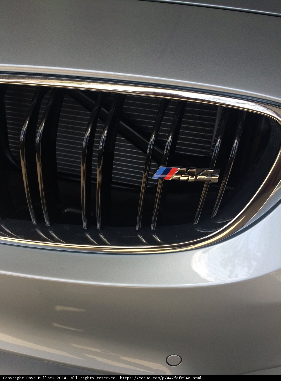 BMW M4 M Sport Grille in Alhambra
