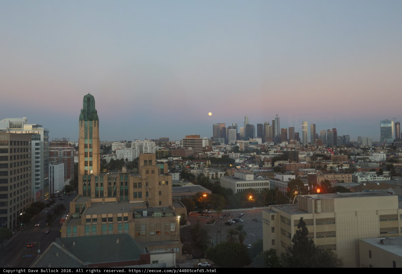 Moonrise over the Urban Jungle