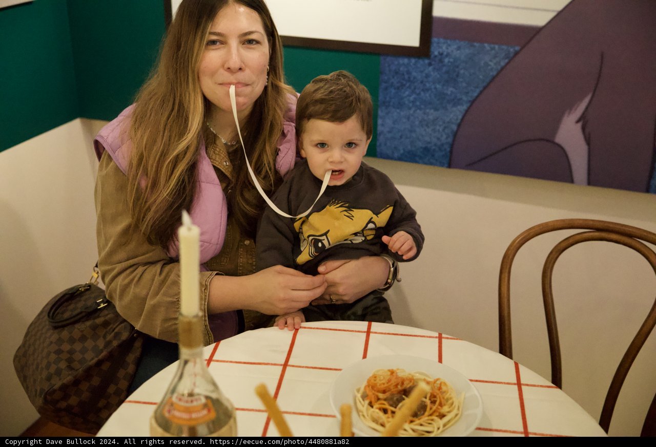 Spaghetti Time: A Cozy Meal at the Museum