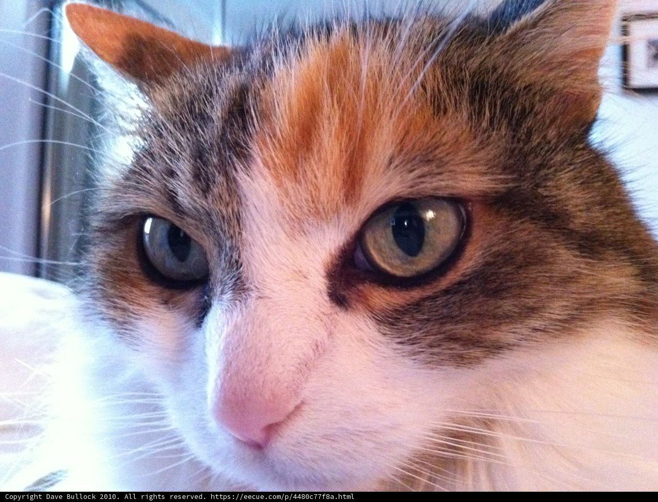 Mesmerizing blue eye