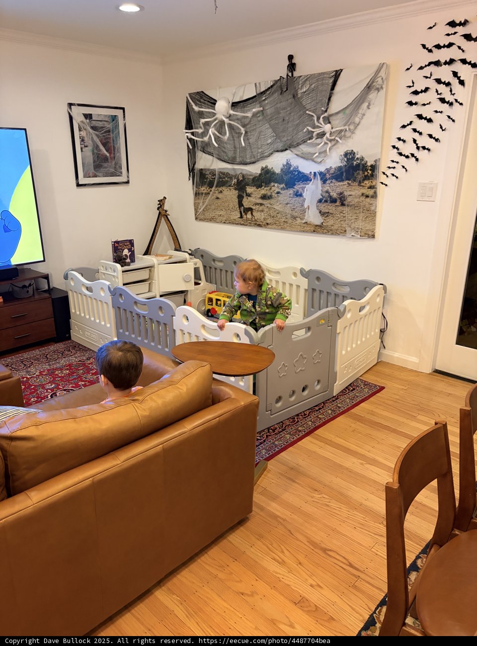 Cozy Corners and Playful Moments
