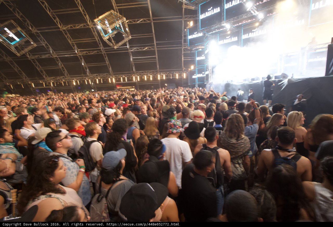 Coachella Crowd Goes Wild