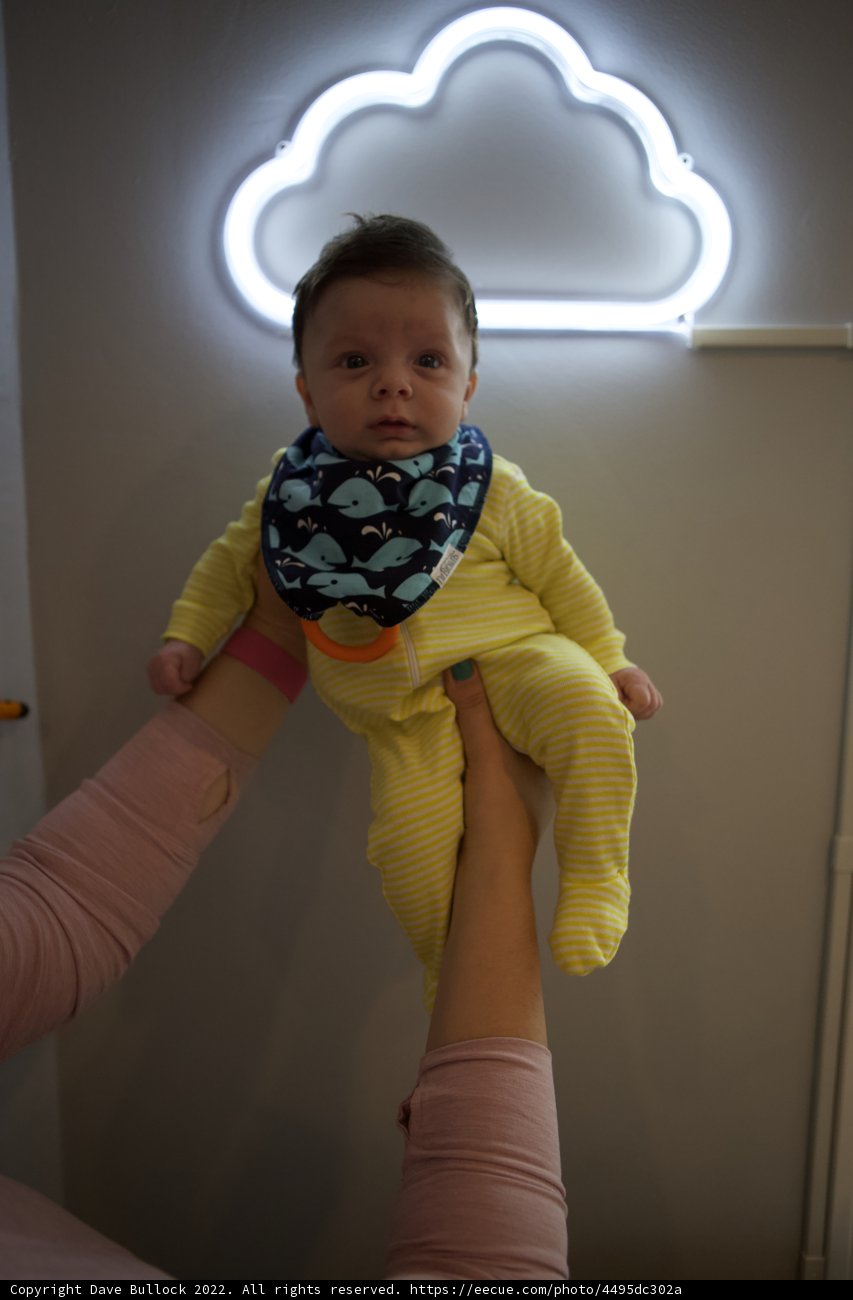 Neon Dreams: Wesley at Two Months